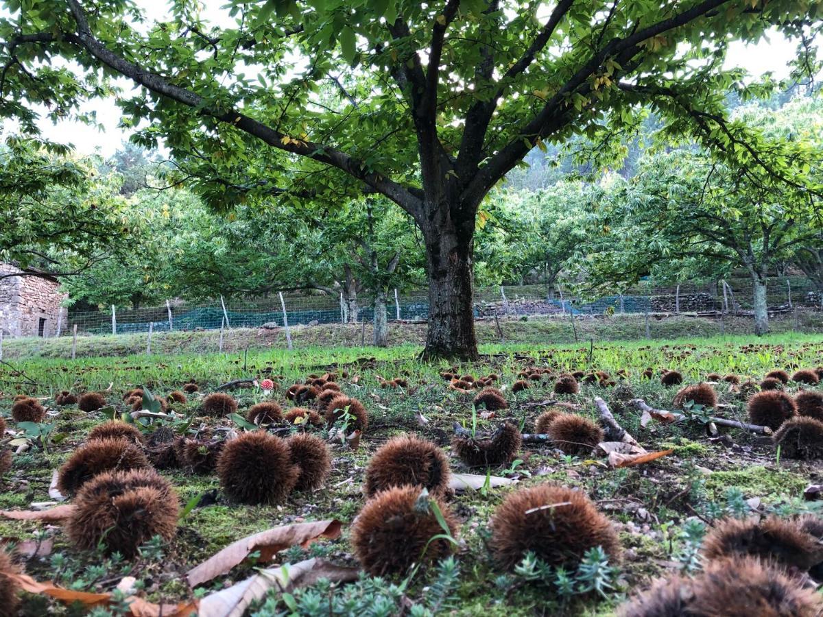Gite Paysage Labeaume Kültér fotó